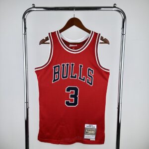 Camiseta NBA Chicago bulls